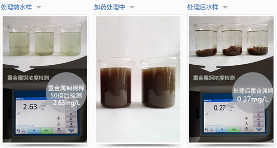 她美牙后，事業(yè)與感情兩豐收
